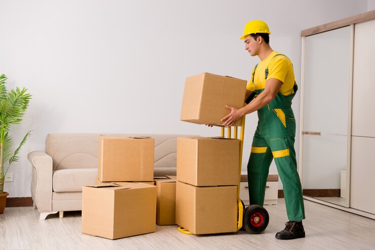 Relocation and Movers in Vadodara